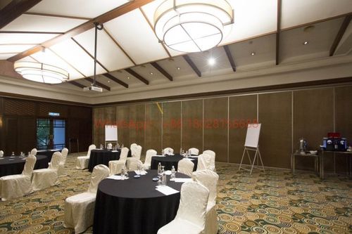 Latest company Solutions about Versatile Movable Walls: Redefining Modern Space Design