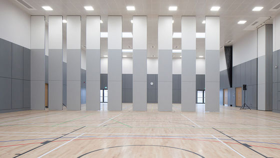 Buy Meeting Room Hanging Sliding Door Banquet Hall Partition Wall online manufacture