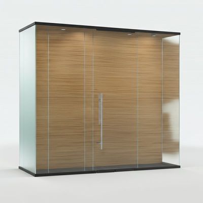 Buy Acoustic Office Glass Partition Wall Wooden Finish For Laboratory online manufacture