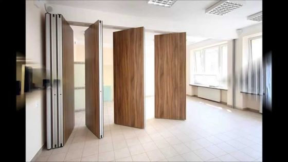 Buy AE Cheap Wholesale Decorative Smoothly Folding Sliding Partition Movable Soundproof Partition Walls online manufacture