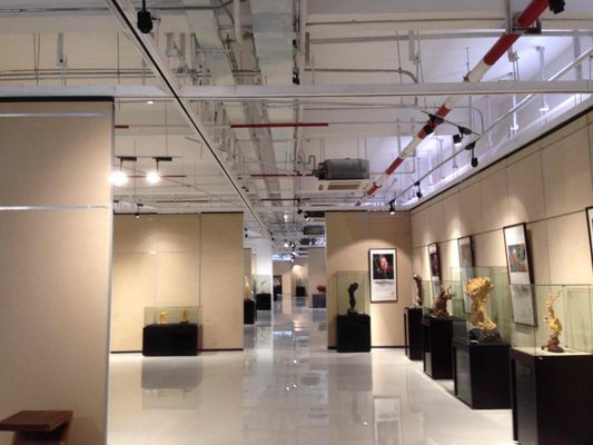 Buy Conference Operable Partition Wall System Soundproof And Folding Walls online manufacture