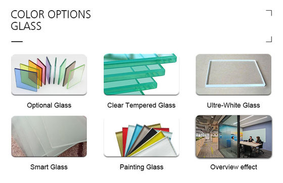 Good price Top Supported Modern Aesthetics Office Glass Partition Wall with Space Optimization online