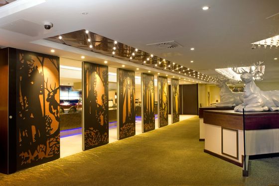 AE room dividers partitions customized partitions for restaurant movable partitions wall for office