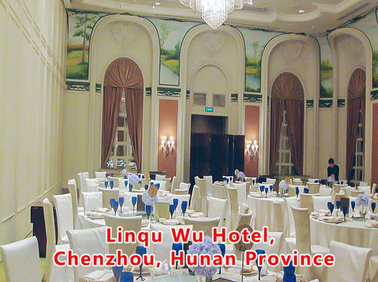 Good price Aluminum Wooden Movable Partition Wall with 304 Stainless Steel Rollers and 6061-T6 Profile for Office Room online